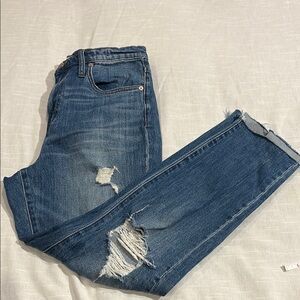 Madewell High Rise Blue Jeans with Vintage Appeal Size 27